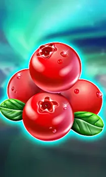 Winterberries